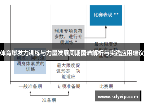 体育爆发力训练与力量发展周期图谱解析与实践应用建议